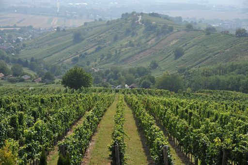 A képet nem sikerült megjeleníteni